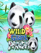 เปิดประสบการณ์ สล็อต 10 บาท ได้ 100: รวยง่ายด้วยเงินน้อย